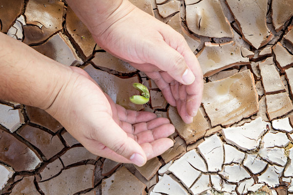 abc hands drought